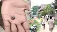 Bihar News : कटिहार में गोलियों की बौछार से थर्राया महिपाल नगर, घरों की खिड़कियां और कार के शीशे टूटे, एसपी ने गठित की जांच टीम