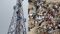 A young woman climbed a mobile tower demanding marriage