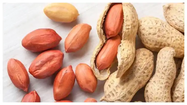 मूंगफली सर्दियों में होती है फायदेमंद, शरीर को अंदर तक करती 