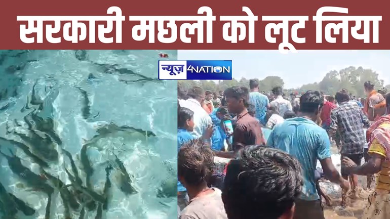 Bihar News: सीएम नीतीश के जाते ही अधिकारियों के सामने लोगों ने सरकारी मछली लूट ली, विषहरी मंदिर का उद्घाटन करने पहुंचे थे मुख्यमंत्री