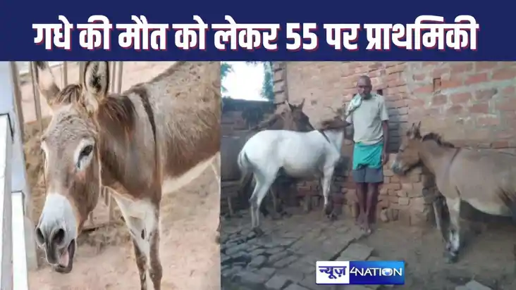 BIHAR NEWS : गधे की मौत के बाद पुलिस ने 55 लोगों के खिलाफ दर