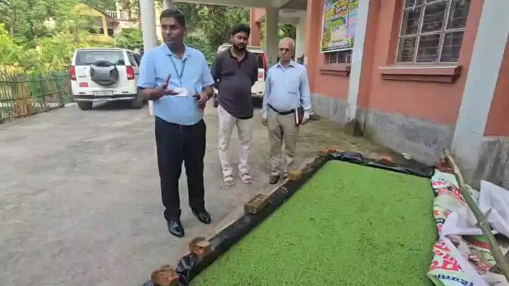 Azolla May Help Flood Hit Farmers