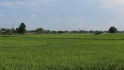 Bihar to Give Land to 30,000 Landless Families on Nov 20