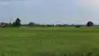 Bihar to Give Land to 30,000 Landless Families on Nov 20