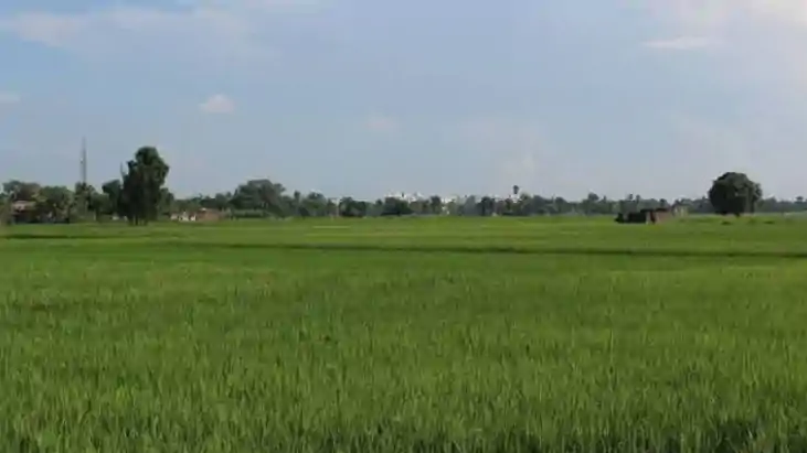 Bihar to Give Land to 30,000 Landless Families on Nov 20