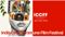 India cine commune film festival first edition Patna