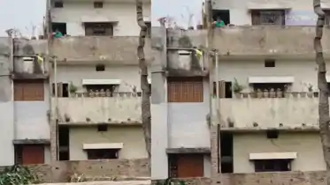 Breaking news update from News4Nation