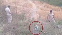 Rohtas Woman Body Found