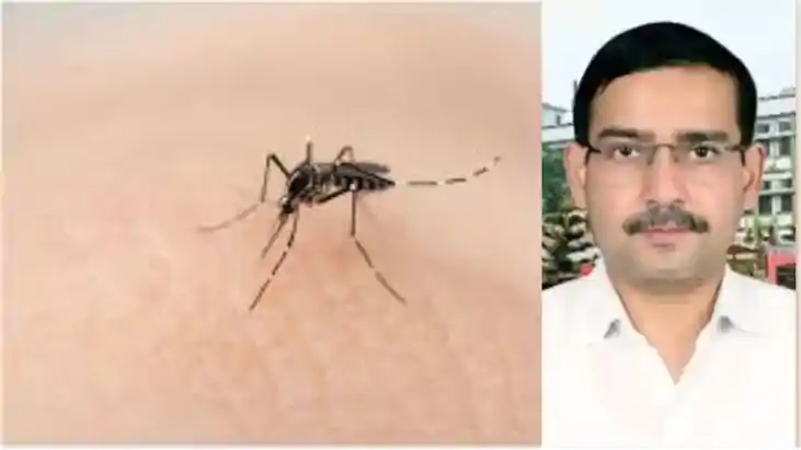 Patna dengue sting