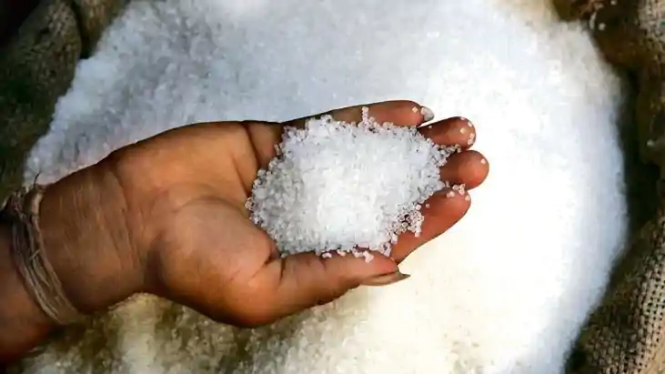 Sugar Price Today