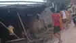 मुजफ्फरपुर में दिव्यांग PDS डीलर और परिवार पर जानलेवा हमला, वीडियो वायरल