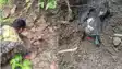 सर्च अभियान के दौरान जमीन के नीचे छिपाकर रखी 4-5 किलो की IED बरामद, सुरक्षाबलों ने मौक पर किया नष्ट