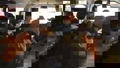 सिपाही भर्ती में बड़ा 'कांड': 50 हजार में बिक रही थी खाकी, मास्टरमाइंड आलोक समेत 4 'मुन्ना भाई' गिरफ्तार!