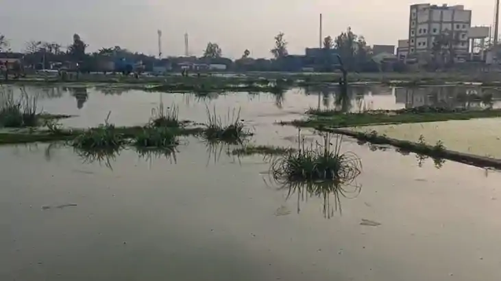 Stench Hits Hard Wastewater From Sudha Dairy Plant