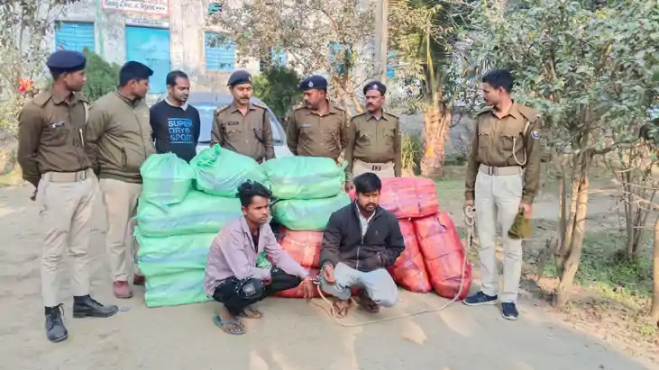 मद्यनिषेध विभाग का बड़ा एक्शन: दो नंबर प्लेट वाली कार से 135