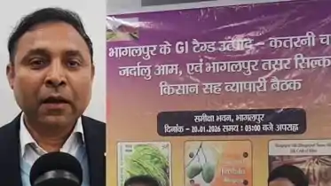 भागलपुर के 4 'रत्नों' को मिलेगी वैश्विक पहचान: कतरनी, जर्दालु, सिल्क और मंजूषा की ब्रांडिंग करेंगे डीएम