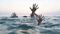  old couple jumped in ganga