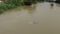 Lightning Strikes Kill 6 in Bihar Heavy Rain Disrupts Life