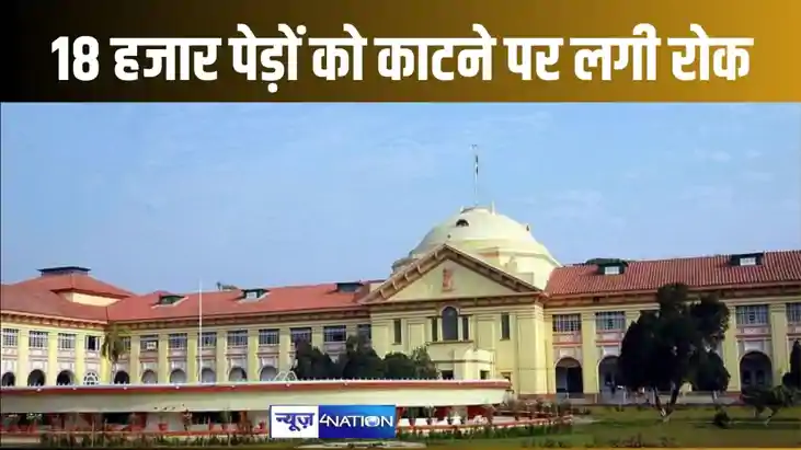 मनरेगा के तहत लगाए गए 18 हजार पेड़ों को काटने पर हाईकोर्ट ने मनरेगा के तहत लगाए गए 18 हजार पेड़ों को काटने पर हाईकोर्ट ने