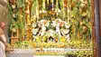  Mango Festival organized by ISKCON in Patna