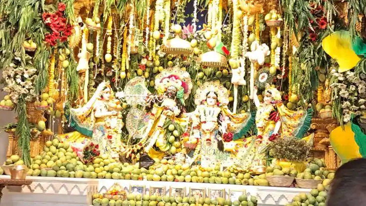 इस्कॉन मंदिर में मैंगो फेस्टिवल का भव्य आयोजन: 8 टन आमों और 
