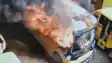 Bihar Crime: पेट्रोल लेकर पहुंचा शरारती बच्चा, स्कूल बस को किया आग के हवाले, CCTV में कैद हुई पूरी करतूत