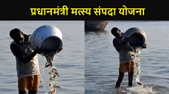 मत्स्य पालन को प्रोत्साहित कर रही है सरकार, प्रधानमंत्री मत्स्य संपदा योजना के तहत गंगा नदी में छोड़ी जा रहा हैं मछलियां