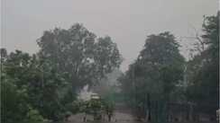 Bihar Weather: बिहार में इस दिन से फिर करवट लेगा मौसम, 50km की रफ्तार से चलेंगी धूल भरी हवाएं