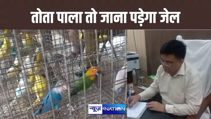 मिट्ठू मियां (तोता) पालने पर जाना पड़ सकता है जेल, देना होगा 