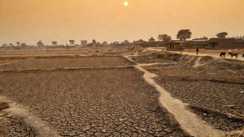 Bihar Faces Heatwave Drought Risk Mercury 30 Day Heatwave Expected