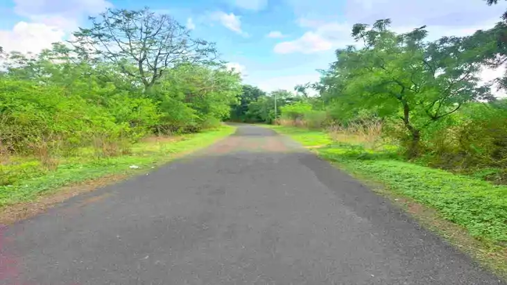Bihar News : ‘हमारा बिहार हमारी सड़क’ ऐप का कमाल, 96 फीसदी ग