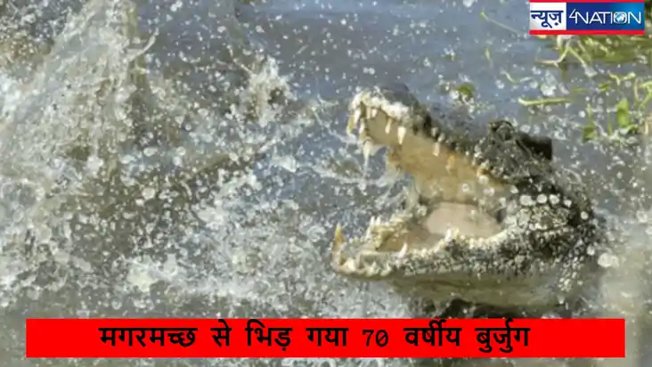  crocodile attacks: 70 साल के बुजुर्ग और 12 फीट के मगरमच्छ म