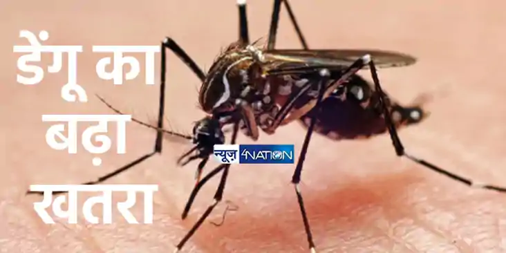 UP NEWS: लखनऊ में डेंगू का कहर: 20 दिनों में 1062 नए मामले, 