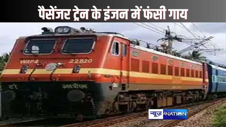 TRAIN ACCIDENT - दुर्घटनाग्रस्त होने से बची गोड्डा-भागलपुर पैसेंजर ट्रेन, गाय के फंसने से इंजन में आई खराबी, डेढ़ घंटे तक रुकी रही वंदे भारत