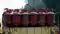 LPG Price Today