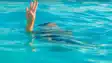 Six Children Drown in Floodwater in Bhagalpur