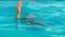 Six Children Drown in Floodwater in Bhagalpur