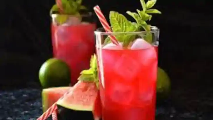 watermelon mojito