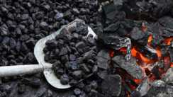 Coal at PDS shops in Bihar