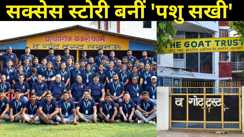 Success Story: बकरी पालन से हो रहा ग्रामीण अर्थव्यवस्था का पुनर्निर्माण, लाखों परिवारों का बदला भाग्य