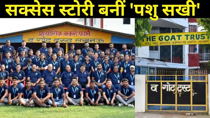 Success Story: बकरी पालन से हो रहा ग्रामीण अर्थव्यवस्था का प