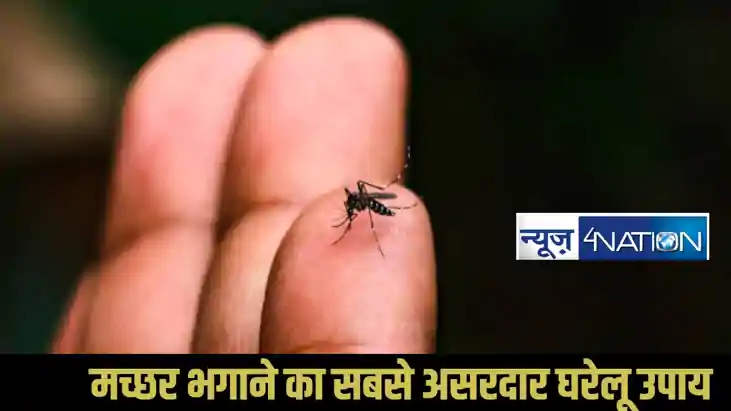 Natural Mosquito Repellent