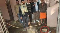 चोरों का 'पुष्पा' स्टाइल: नाथ बाबा मंदिर में डकैती, सुरक्षाकर्मियों के पहरे के बीच करोड़ों के चंदन पर चलाया आरा