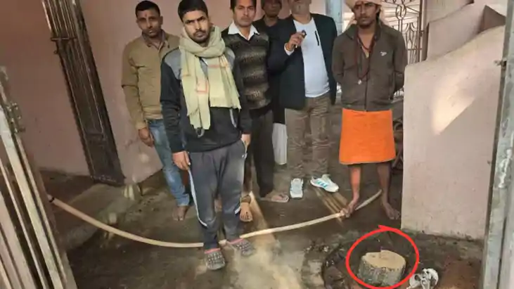 चोरों का 'पुष्पा' स्टाइल: नाथ बाबा मंदिर में डकैती, सुरक्षाक