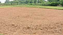 Bihar News : खाली खेत भी अब बनेंगे कमाई का जरिया, बिहार में खेती का नया फॉर्मूला आया सामने