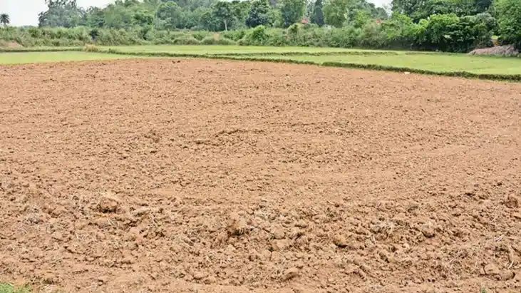 Bihar News : खाली खेत भी अब बनेंगे कमाई का जरिया, बिहार में 