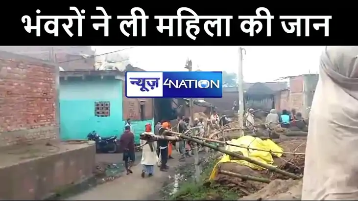 कैमूर में भंवरों के हमले से जख्मी हुई महिला, इलाज के दौरान ह