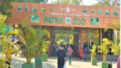 Bird flu looms large in Patna 