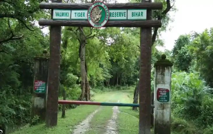 VTR के जंगल में मिला प्रेमी जोड़े का शव: हत्या या आत्महत्या? 