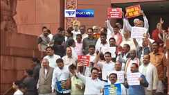 Opposition MP protest at parliament